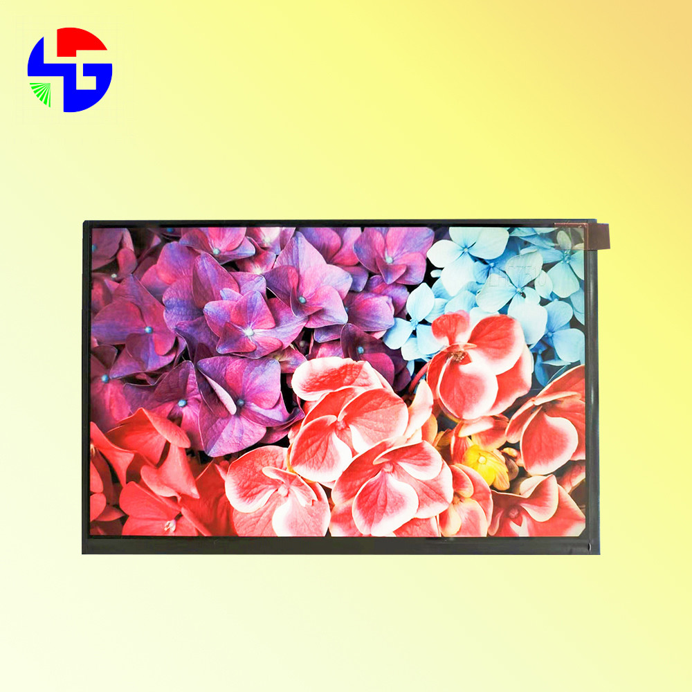 TFT LCD Display Full View 10.1 Display 1280x800 High Resolution