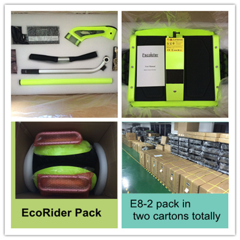 Self Balancing Segway 2 Wheel Electric Scooter Ecorider 2000w With CE Certification