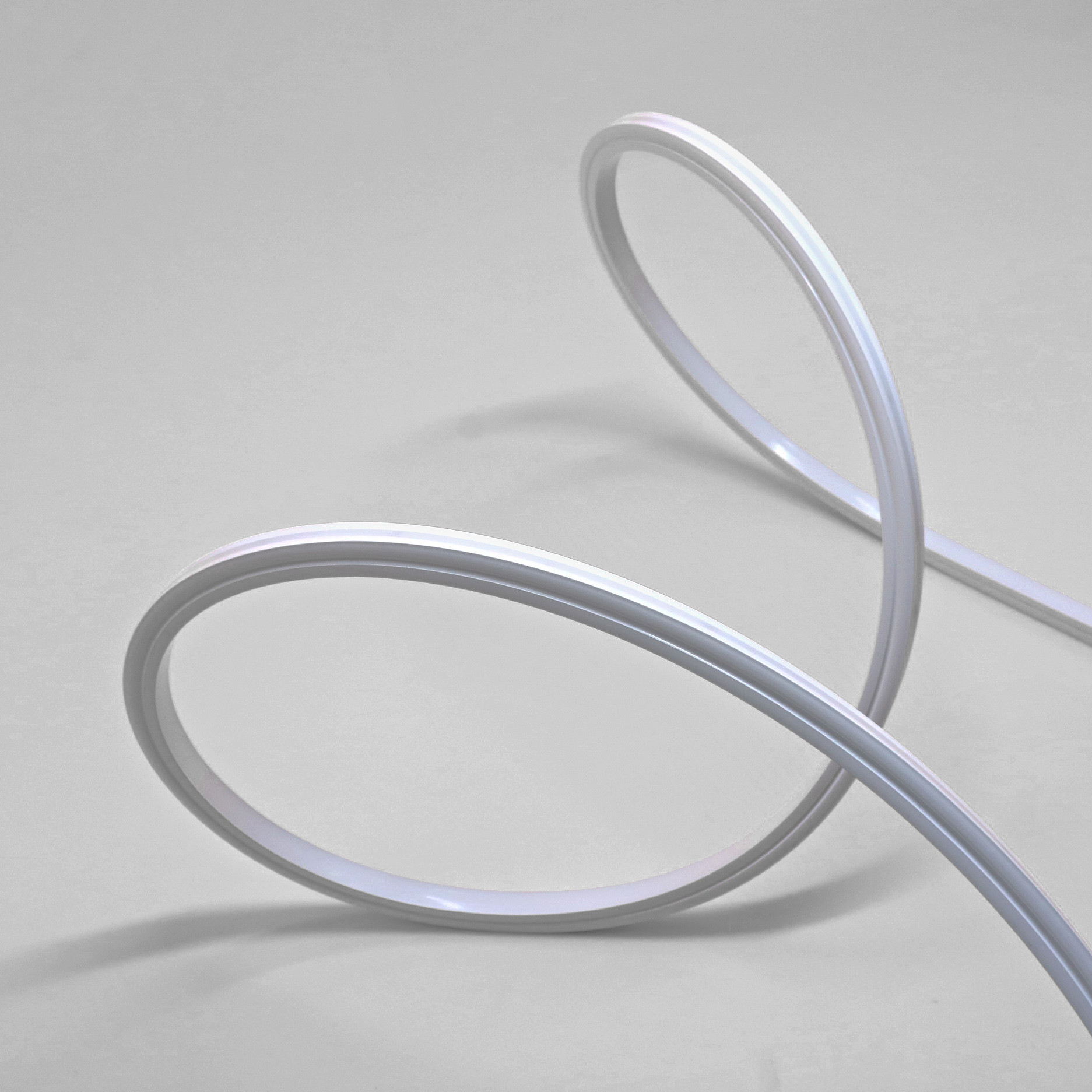 Outside Silicone LED Neon Flex 24VDC 5m Neon Light Strip 400lm/M
