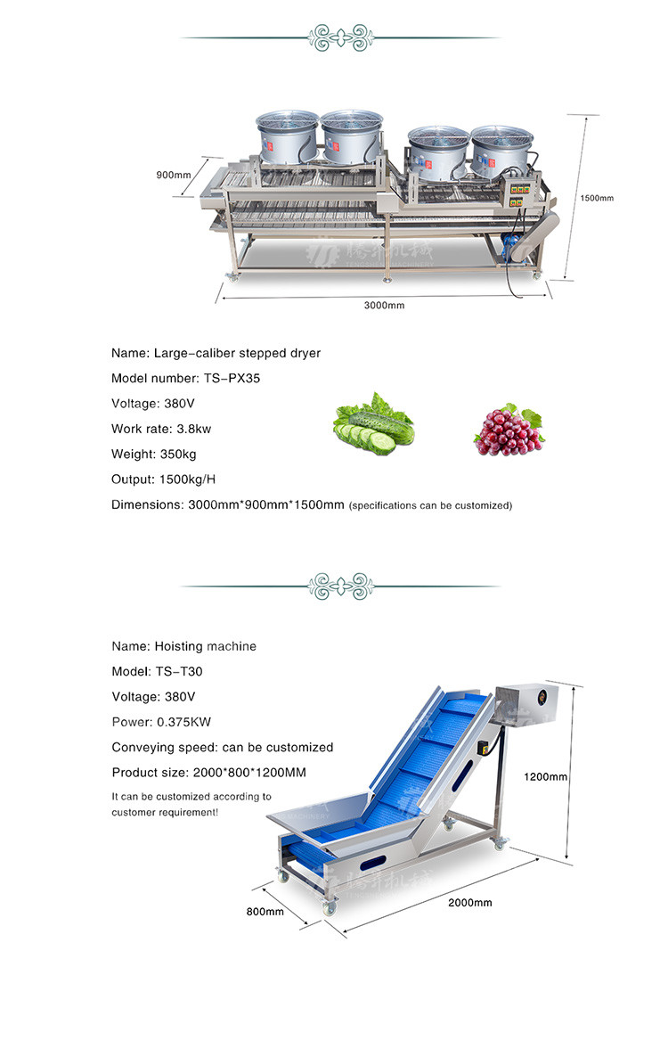 Kiwi Carrot Taro Vegetable Brush Bubble Cleaning Machine 2.5KW