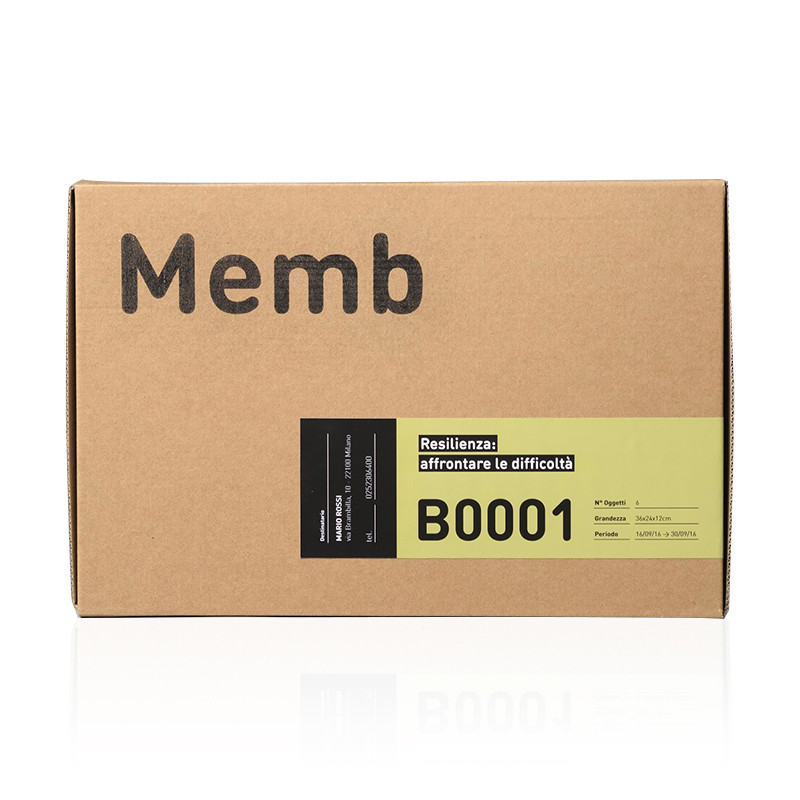 Custom Printing Laptop Corrugated Cardboard Hard Drive Cheap Shipping Mailer Boxes