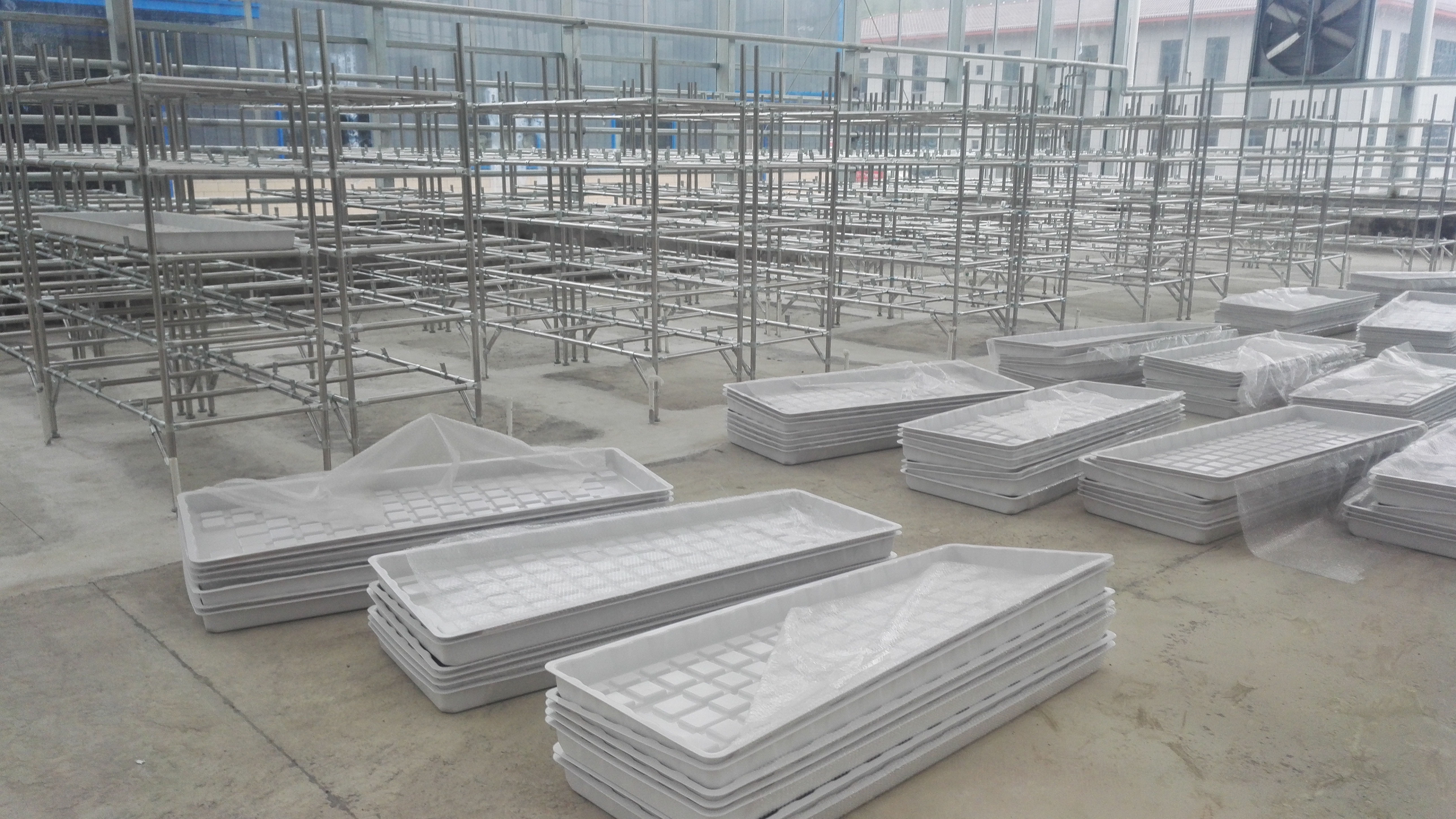 Vertical Seedling Systems Commercial Ebb/Flow System Agricultural Greenhouses