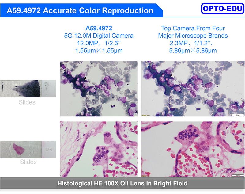 Digital 5G Usb Microscope Camera OPTO EDU A59.4972