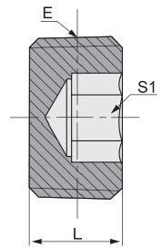 OEM Factory Supply Hydraulic Tube Fitting BSPT Male Hollow Hex Plug 4tn