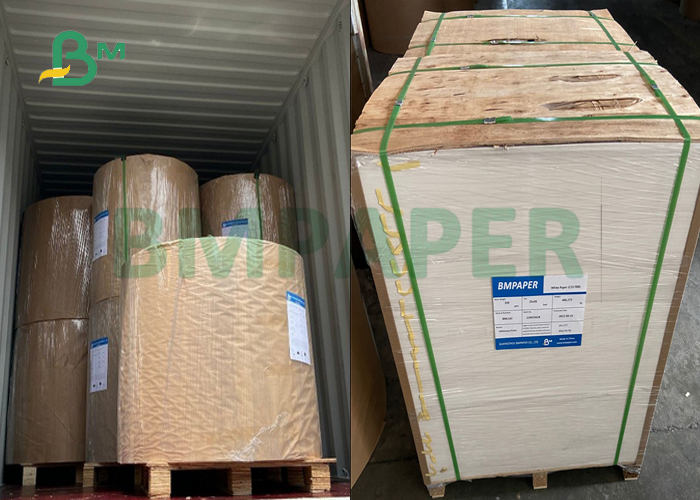 210gsm 230gsm Antifreeze Coating P1S Cup Stock Board Sheet For Ice Cream Cups 36" 18"