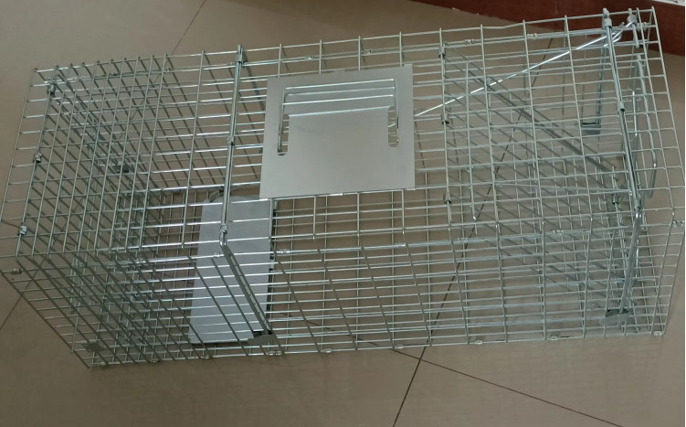 10" Foldable Wire Mesh Mouse Rat Hamster Rabbit Cat Skunk Fox Squirrel Catcher Cage