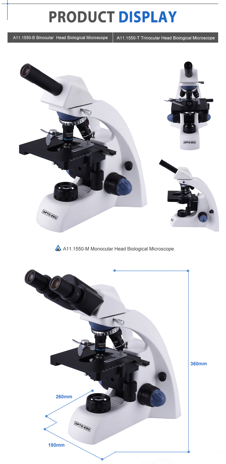 WF10X/18mm Monocular Light Microscope A11.1550 With Abbe Condenser N.A. 1.25 / Diaphragm
