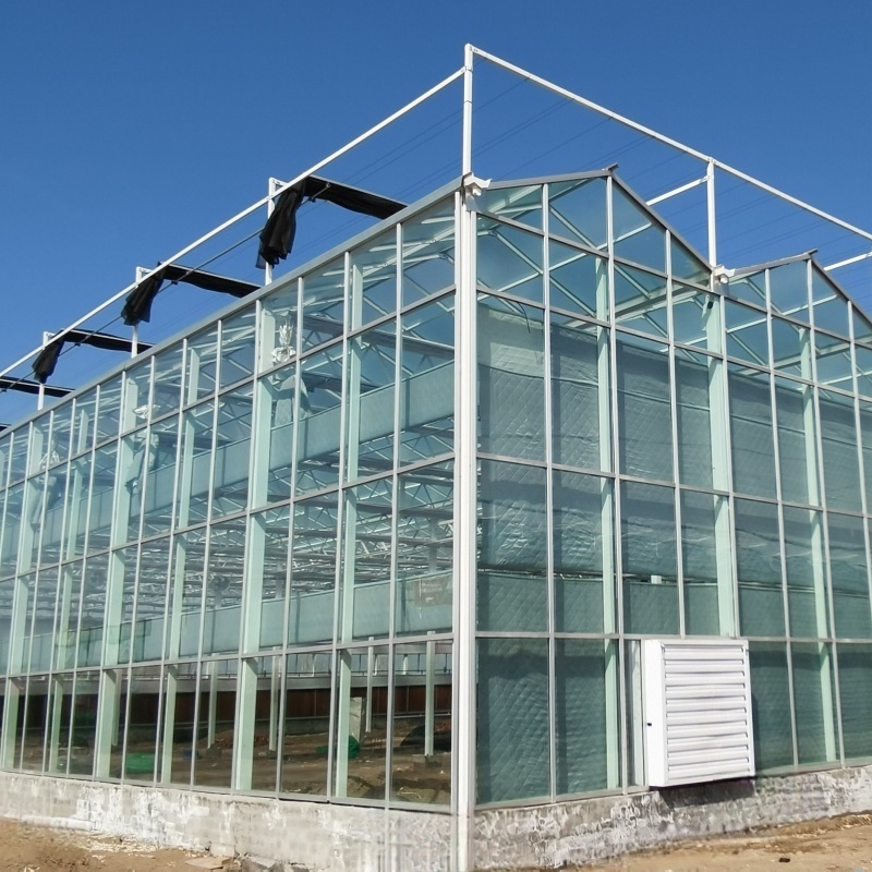 Agriculture Poly Tunnel100% Blackout Automatic Light Deprivation Greenhouse for Canada / USA