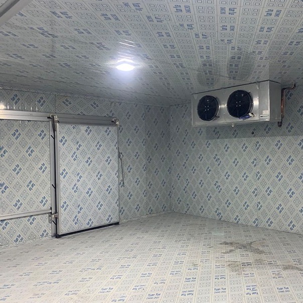 Walk In Freezer Cold Room Refrigeration System With Cooling System