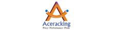 China Ace Storage Equipment Manufacturer Ltd. logo