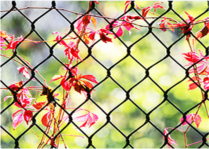 7x19 Stainless Steel Wire Rope Netting Zoo Enclosure 304 Diamond Shape Wire Mesh 30x30mm