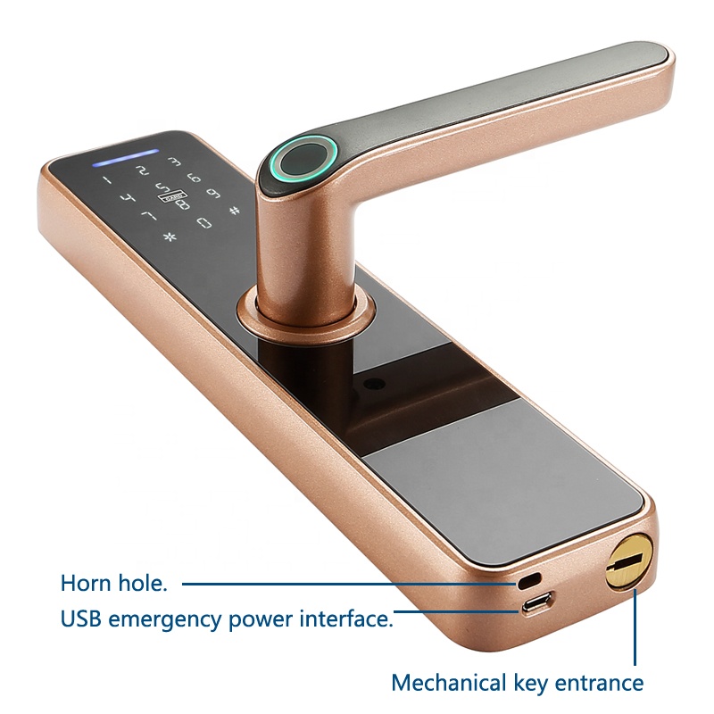 Rosh Ttlock Tuya App Smart Electronic Lock Wifi Password Lock