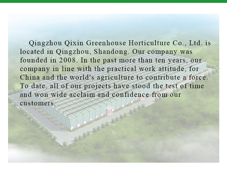Large Glass Covered Garden Greenhouses for Versatile Planting Options