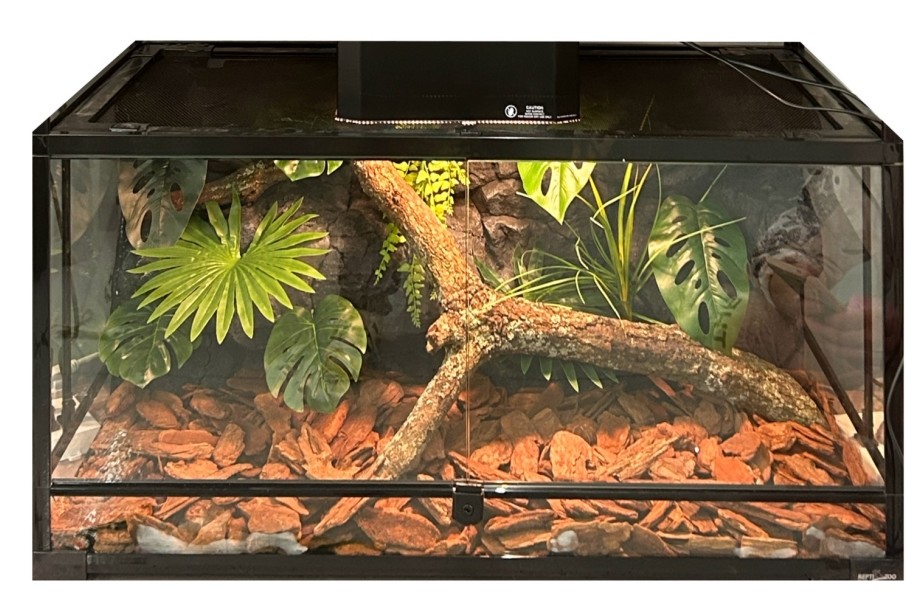 Easily Installed Snake Terrarium Background Lightweight Stumps SL-M28A
