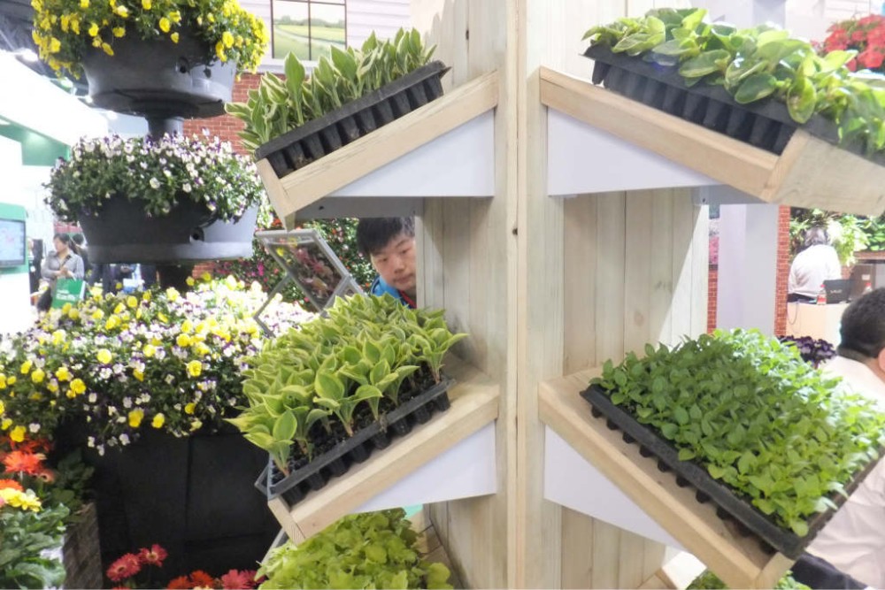 Lightweight 128 Holes Polypropylene Seed Trays 1020 Propagation Trays For Vegetable