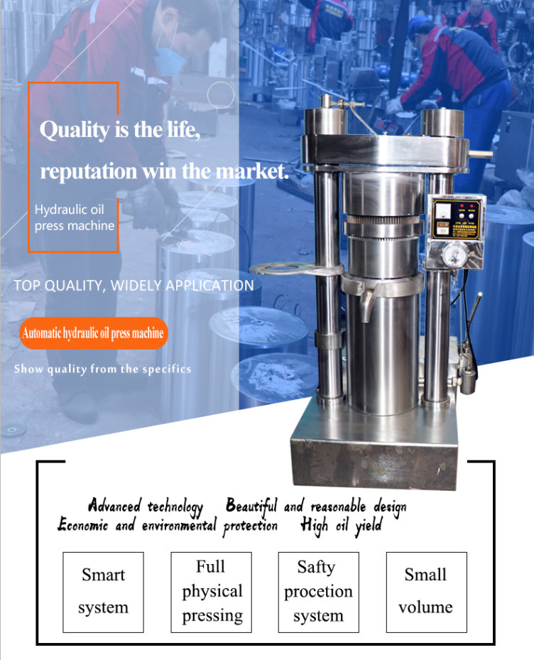 Cold Processing Sesame Oil Machinery / 6YY - 230A Electric Oil Press Machine