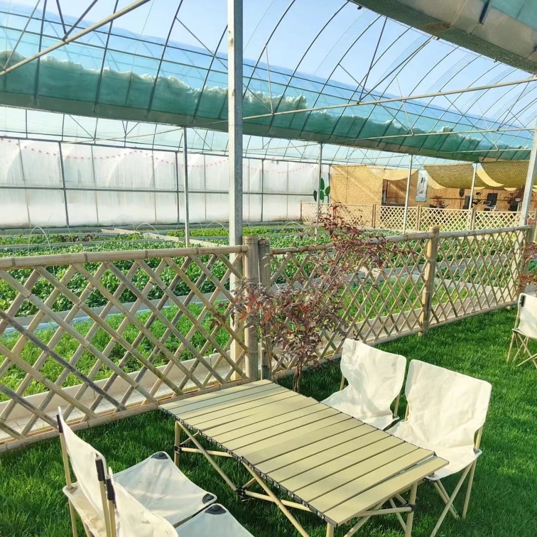 Vegetable Production Po Film Greenhouse with Water Pipe System