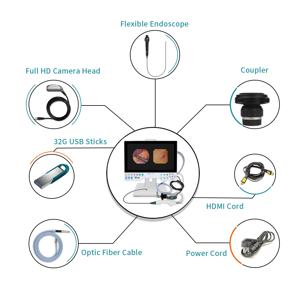 All in One Rigid and Flexible Endoscopy Camera TU-15LSD1E HDMI/SDI/CVBS/VGA/DVI Output Interface and Built-in Light Source