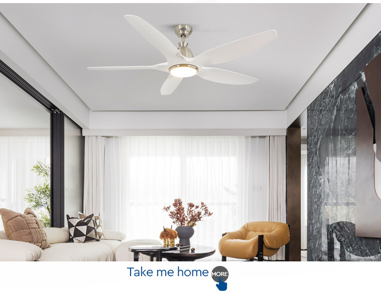 60" 5-Blade ABS LED Ceiling Fan with Light REACH Certified Low Energy Consumption