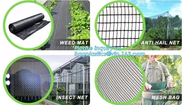 100% new HDPE insect mesh / anti bird net for apple trees,greenhouse anti insect net for plant, agriculture net Anti-ins