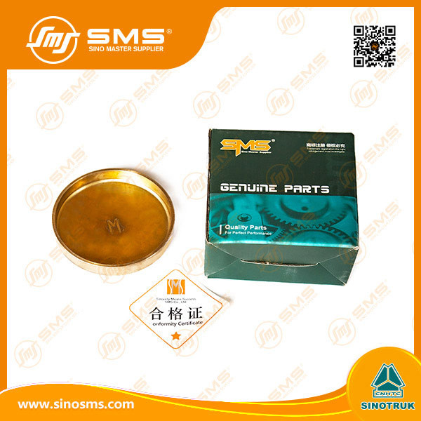 190003989210 SMS Truck Engine Parts Core Hole Plug Copper