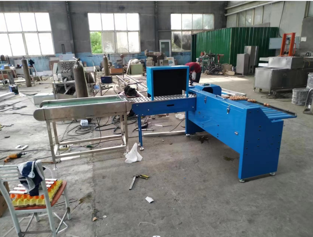 Egg Sorting Machine By Weight Machine For Sorting Eggs Egg Sorting Grading Machinery