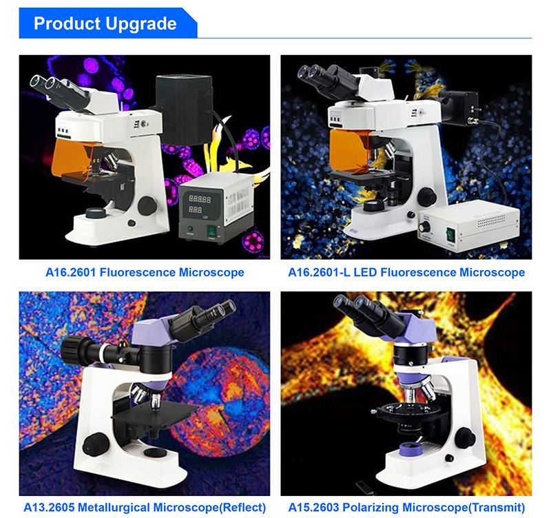 LED A12.2601-BT 400X Student Compound Microscope WF10x High Precision