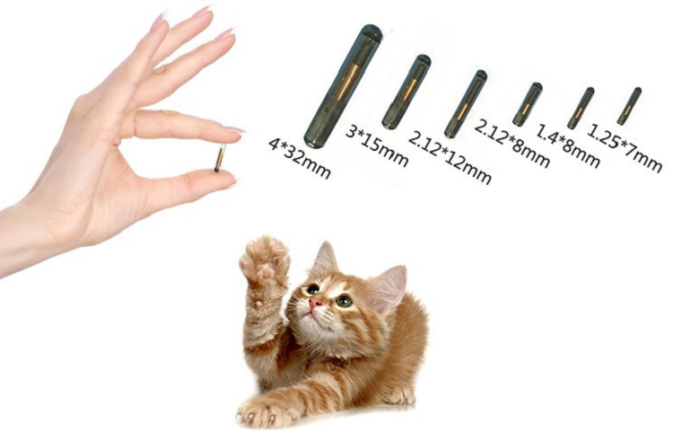 Injectable RFID Application Glass Tag For Fish Tracking Dog Animal ID Pet Microchip