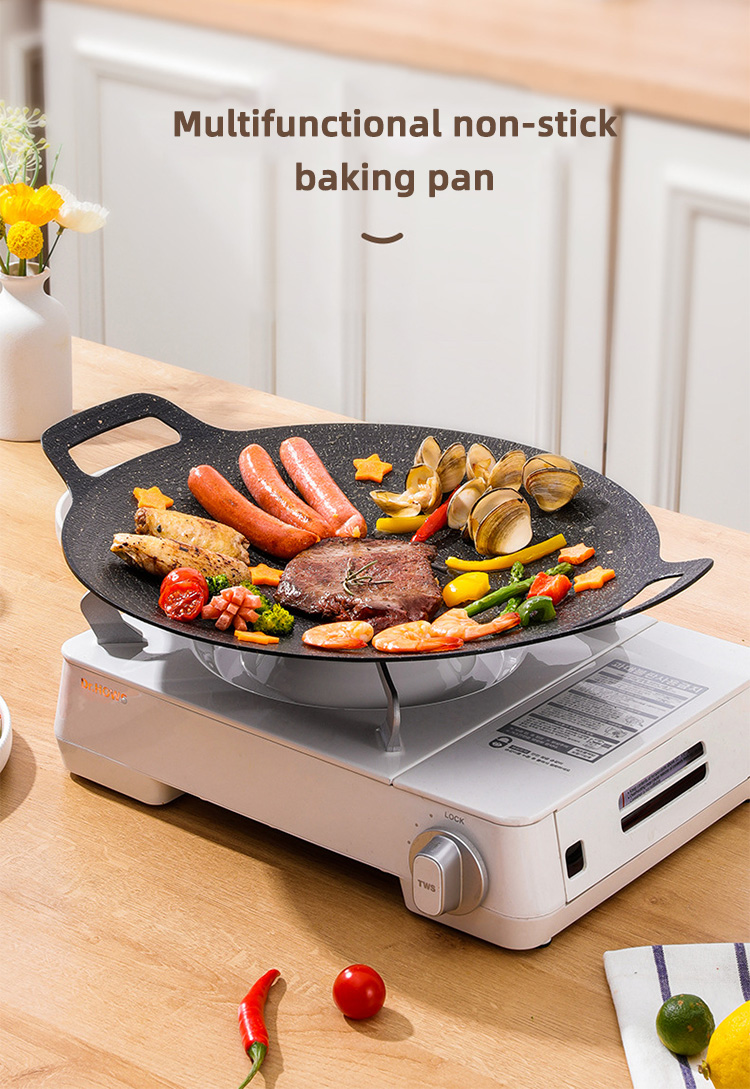 Non Stick Cast Iron Camping Round Frying Pan Pre Seaoned For Outdoor And Kitchen