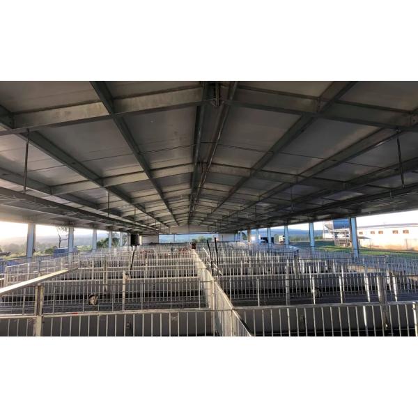 Efficiency and Sustainability in Piggery Farming Prefabricated Modular Building for Modernized Farm