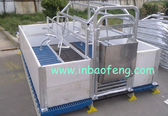 Anti Rust Pig Farrowing Crates For Animals Galvanized Pipe And PE Plate Materials