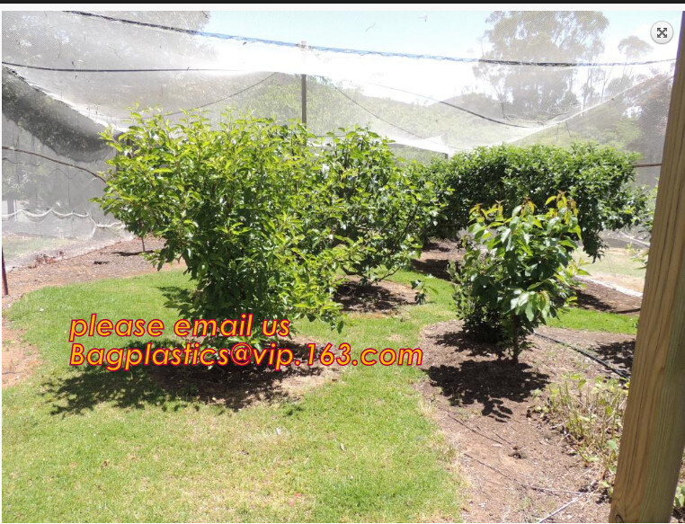 100% new HDPE insect mesh / anti bird net for apple trees,greenhouse anti insect net for plant, agriculture net Anti-ins