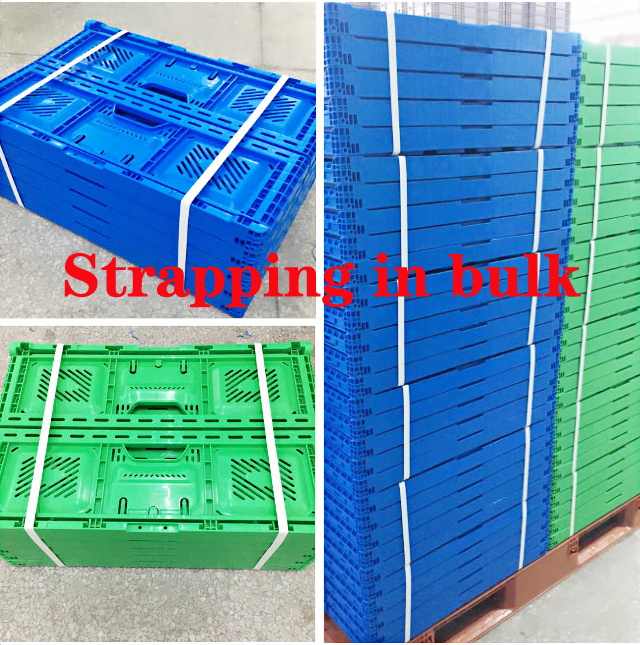 Industrial Packaging Folded Size 365*275*80mm PP Collapsible Plastic Storage Crate Box