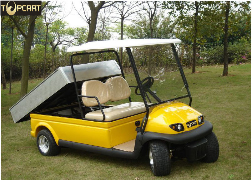 Electric Powered Utility Golf Cart 2 Passenger With Rear Cargo Bed