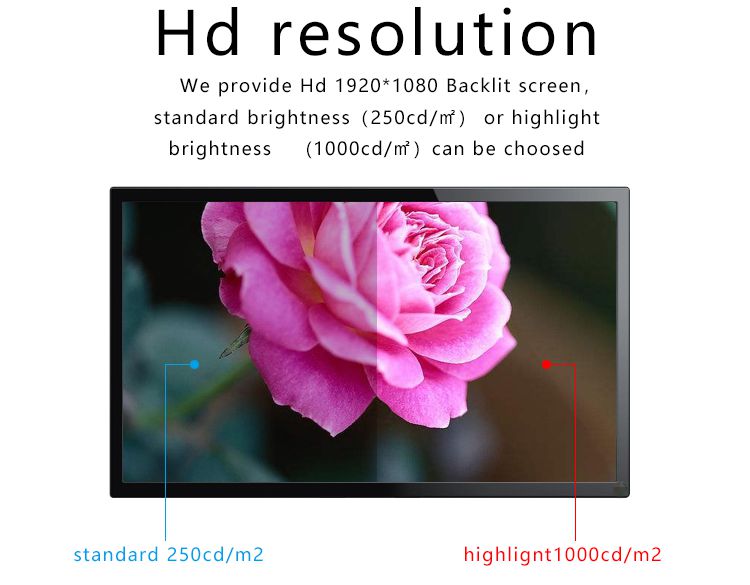 TY-24G2 Pro 24" Dual Screen Studio Teleprompter The Ultimate Tool for News Broadcasting