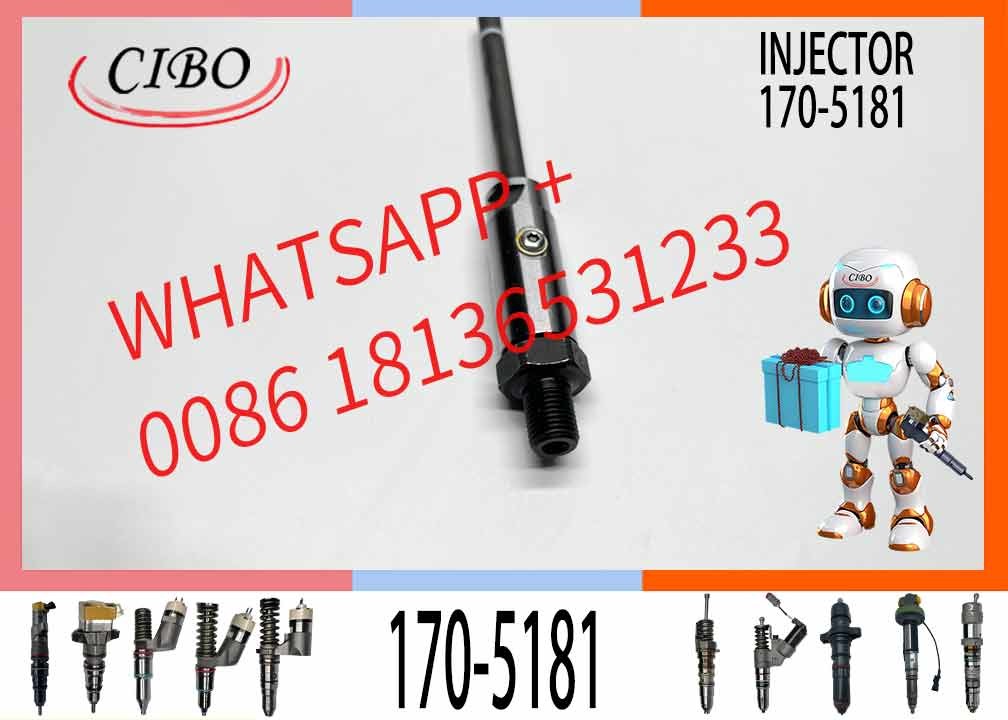 Fuel Injector 7W7045 0r-3591 170-5181 For Excavator Engine 3306b 3306 973 973c