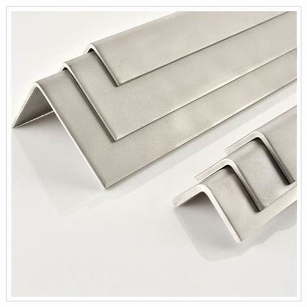 5.8m 316 Stainless Angle