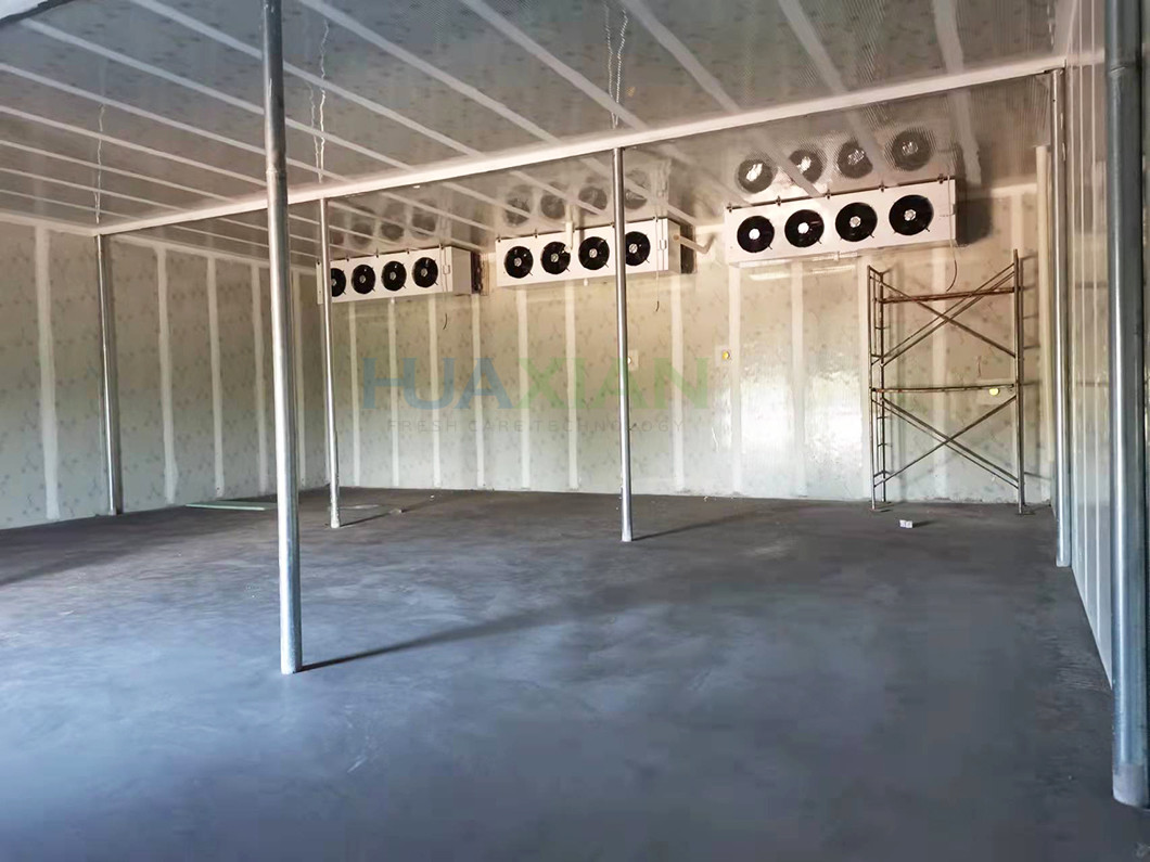 Controlled Atmosphere Cool Storage Room 600 Tons Apple CA Cold Store Room