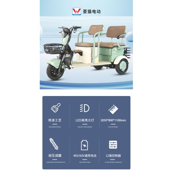 48V/60V/72V Lithium Battery Leisure Electric Tricycle 3 Wheeler 25km/h For Adults