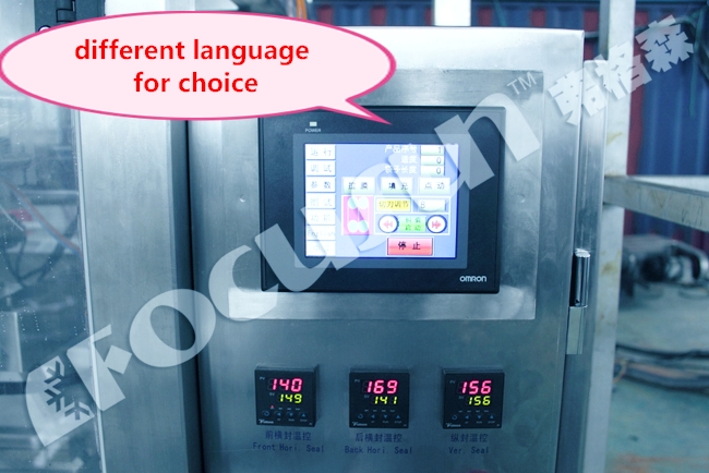 Sealing Bag Packing Machine for 1kg 5kg 10kg Ice Cubes Tubes Video Outgoing-Inspection
