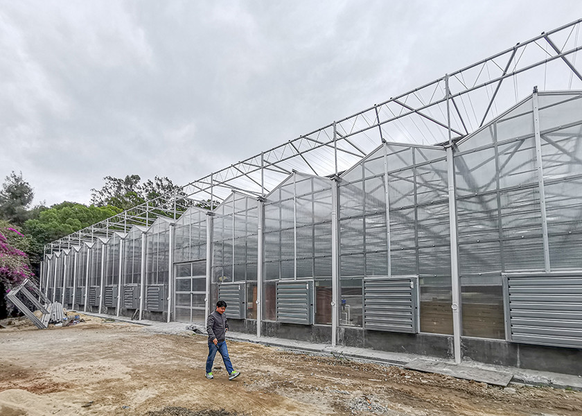 Polycarbonate Multi Span Greenhouse For Hot Climate 12 Meter Width
