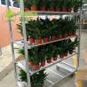 Buy cheap Q235 Dutch Trolley Shelves from wholesalers
