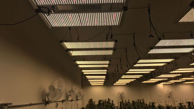 Samsung LM301B Quantum Board LED Grow Lights Osram 660nm 730nm Seoul UV 395nm 0