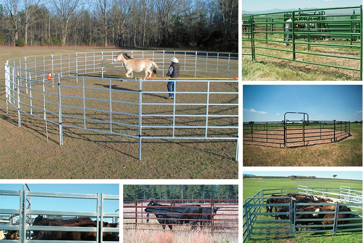 corral and horse panels 5ft height x 12ft length