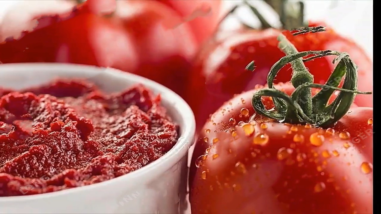 18.5Kw Tomato Sauce Production Line Fully Automatic Adjustable Speed