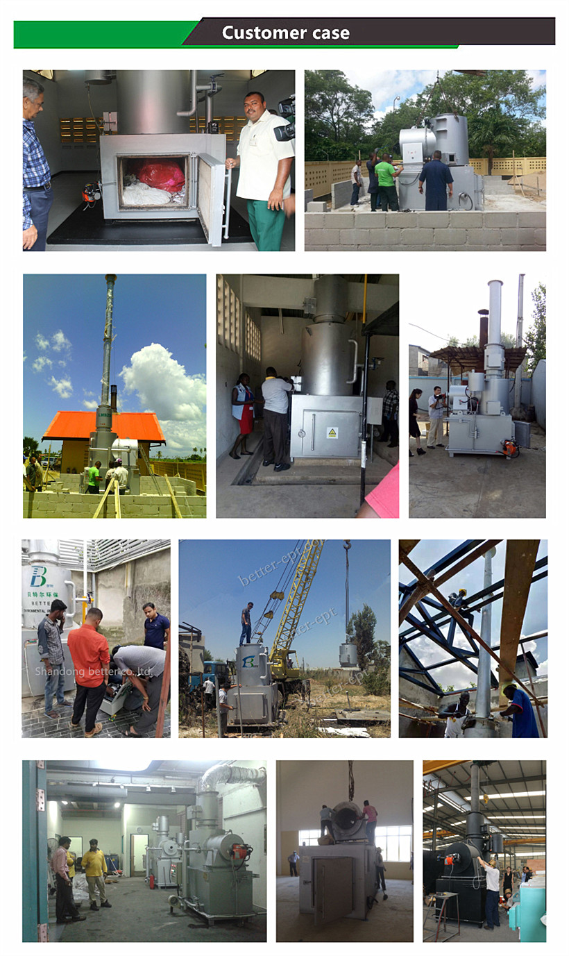 Small Farm Equipment Animal Carcass Incinerator Furnace for Pet Cremation Condition