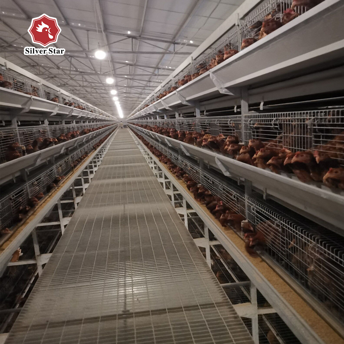 6 Tiers 204 Birds Broiler 45 Days Chicken Cage Battery Pullet