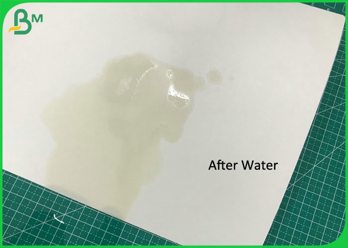 Coaster Material Sheet 70 * 100CM 0.7MM 1.4MM Absorbent Paper for Seal gasket