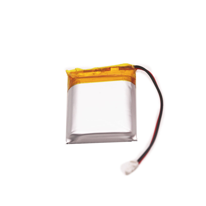 PL802530 2.22Wh 600mAh 3.7 V Lithium Ion Polymer Battery