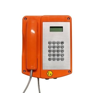 Free Dial IP66 Explosion Proof Keypad Telephone